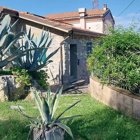 Vignale House Dom wakacyjny *