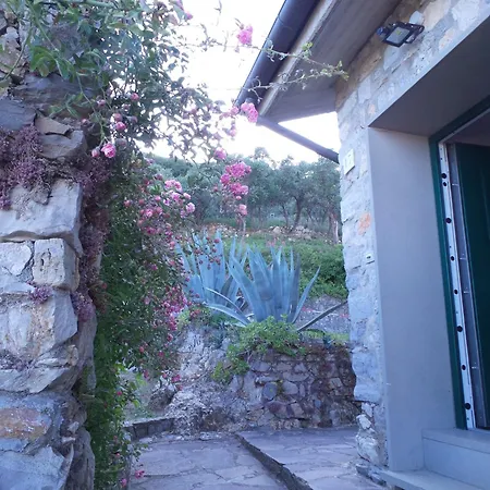 Vignale House